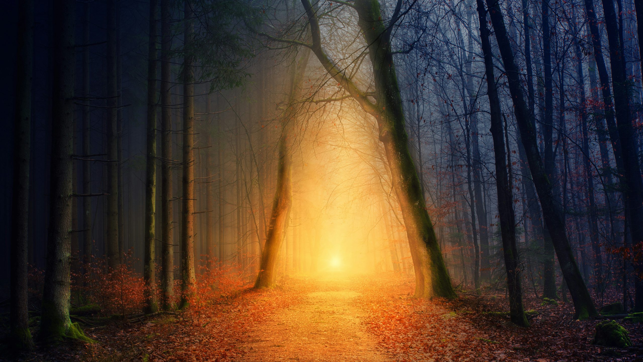 Chamanisme, quêtes spirituelles modernes et lumière véritable